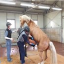 진흥축산 이미지