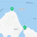 통영용호도고양이학교 이미지