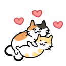 언제나고양이 이미지