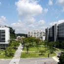 명지대학교 이미지