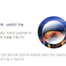 으뜸50안경(금호점) 이미지