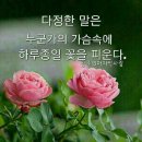 헤드라인 뉴스(20년12월16일) 이미지