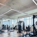 스카이 피티 이미지