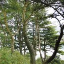 주천터미널수퍼 이미지