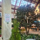 뮌스터담 | 파주 무료 눈썰매장 아이와 가볼만한곳｜뮌스터담 카페 눈썰매 후기 &amp; 준비물 총정리