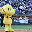 꿈돌이의디자인
