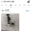 로아스테이 - 수원시 권선구 평동로 100-9 | 로아스테이