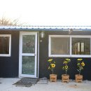 캠프오후4시 이미지