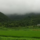 이연주농장 이미지