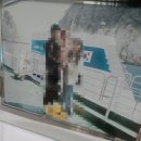 31140-14-37-43 | 제주 서귀포 잠수함 투어 후기, 해저 43m 난파선 탐험 추천