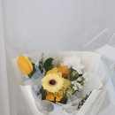 라이티티아플로 이미지