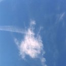 성령상사 이미지