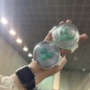 영프랜 | 2023년 데이식스 결산