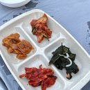 가보식당 | 아산 맛집 &#39;가보식당&#39; 전어회와 대하구이 먹어보고 온 솔직한 내돈내산 후기