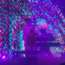 영하TOUR