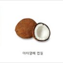 야자 이미지