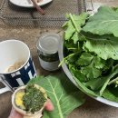 박은영농장 이미지