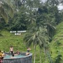 STAY HARUM 이미지