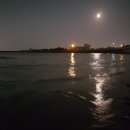 평대 모살코지 이미지