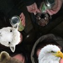 젊음과패기공원2 이미지