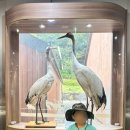 여명막국수 이미지