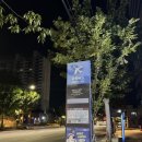 6008 | 새벽비행기 서울에서 인천공항 6008 공항버스 리무진 가격&amp; 할인꿀팁 &amp;후기 | 영등포에서 인천공항