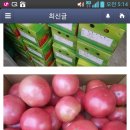 비봉농산물 Daum카페