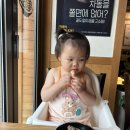 이차돌일산 이미지