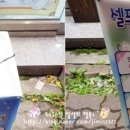 안경나라신창점 이미지