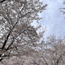 힐링캠프캠핑장 | 부안 캠핑장 &lt;내소힐링캠프&gt; 우중캠핑 후기