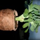 상학농장 이미지