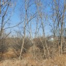 자인공인중개사사무소 이미지