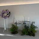 테라스 커피차 | 🌼메종 디탈리 웨딩홀 투어 후기(견적)_내가 보려고 남기는 기록