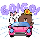 강원화원 이미지
