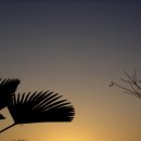 밀물민박 이미지