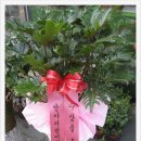 반야어린이집 이미지