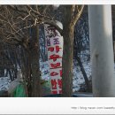 카우보이치킨 - 춘천시 | 카우보이치킨