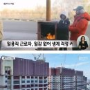 건설업체 줄도산으로 얼어버린 인력 시장 이미지