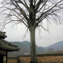 어계고택 이미지