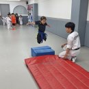 진향태권도장 이미지