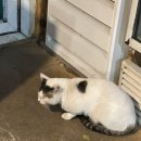 가평 시골집 | [가평/시골밥상닭갈비 가평본점] 가평 30년 전통 한정식 맛집👍🏻