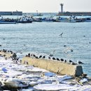 궁궐민박 이미지