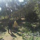 상명목장 이미지