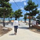 모쿠민박 | 여름 죽도 해변 풍경│바닷물 맑기 &amp; 컬러│서프샵 모음