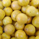 탱자한의원 이미지