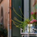 민행정사사무소 이미지