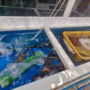 남일횟집 이미지