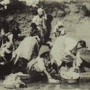 코인워시빨래방 - 제주시 남성로 167 | 코인워시빨래방