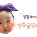 A0303 이미지