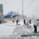 서충주비상-2 이미지